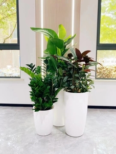 探秘宁波前湾绿化修剪优质之选，究竟哪家更胜一筹？